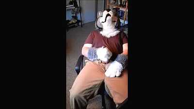 Husky Paw