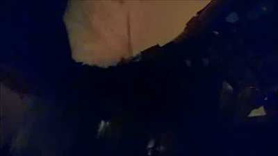 Martini Fox breeding Kamadan the Rubber Snowkitty.. twice.. 