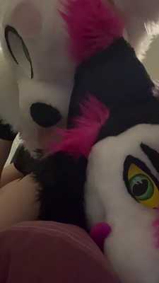 Gay furry getting fucked by a femboy furry