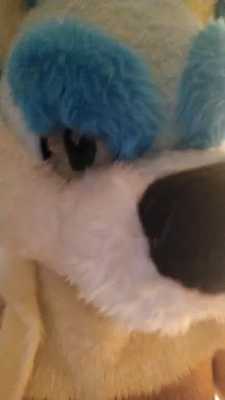 Fox has a shower then wets his bed