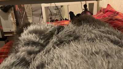 POV of a wolf using his vibrator.