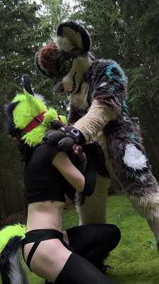 What happens to foxes when a yeen catches them in the forest...