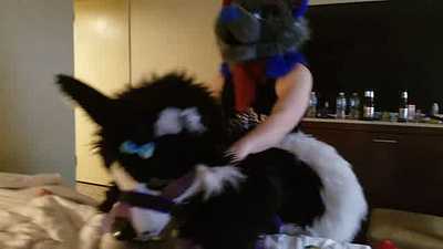 nightshade getting plowed by konrad