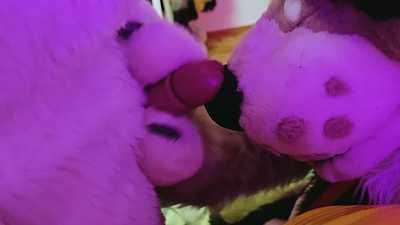 Fenny Time - Lennox getting a cummy muzzle...