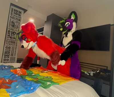 Happy valentine with my big sexy fox.