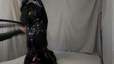 Pony is made to moan