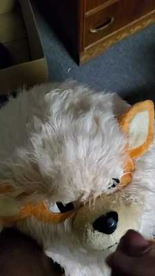 Arcie getting his breakfast before work [oc]