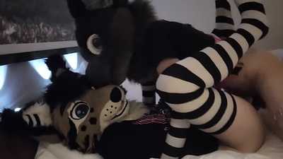 Giving Japuk the Lynx  a nice filling✨ #EF28