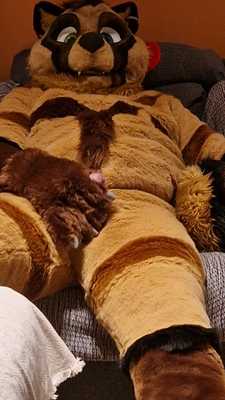 Tanuki paws off