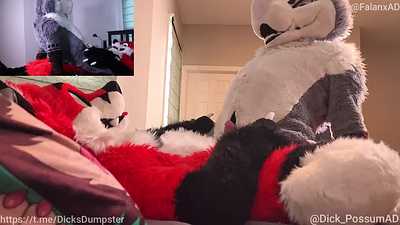 Possum Dad Cums Handsfree