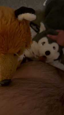 Foxie Facial And Husky Plushie MawJob