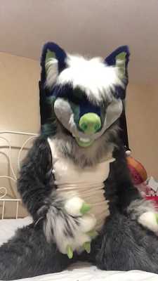 OWO new suit 