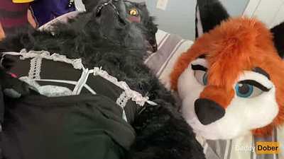 Daddy Dober x Reya x Parker