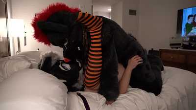 Loki fills a needy kitty