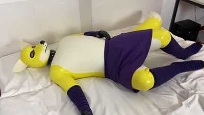 Playing with a rubber fox