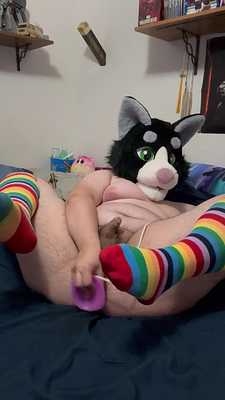 Fat Cat uses dildo to fill his ass with cum