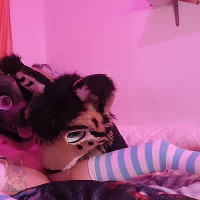 Blowjob compilation ✨Japuk x haru✨