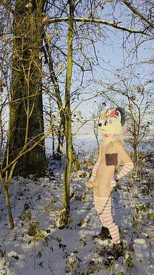 Horny femboy fox jerking off in the snow