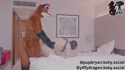 Training the Pup – Fox Style