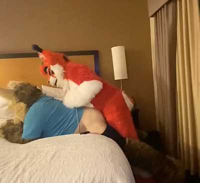 Hot Lynx Breeding 🔥😺