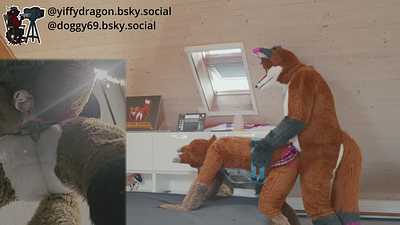 Red Fur and Raw Lust A foxy Affair