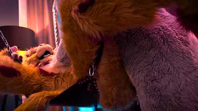 Noisy Cat - NFC 2023 (WARNING: LOUD!)