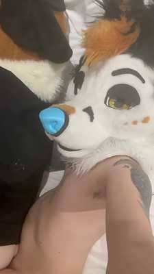 Xero_Fox fucks BeanThePunk