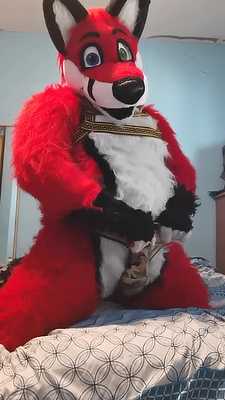 Horny Fox Humps pillow