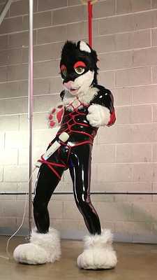 Sexual Service Animal Training with DangerBones, Ch 1