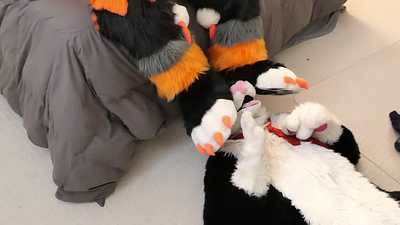 5 Minutes of Paws