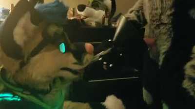 Dirty Yeen Fills Fox Muzzle [WS]