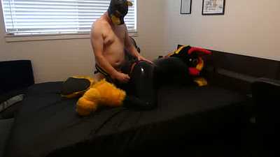 Inferno getting humped by a puppy