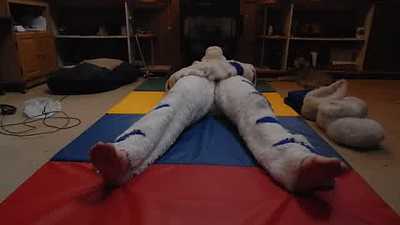 StuntTiger pawing off