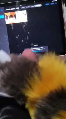 Ampharos cum tribute x2!