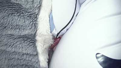 Fenny Time - Breaking Into Dawson