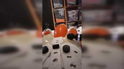 Orange fox in Segufix