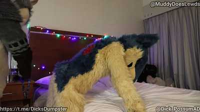 Banging A Typhlosion