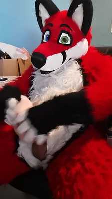 Red Fox fucking fake vagina toy