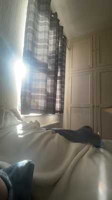 Shark pawing off with a side view.