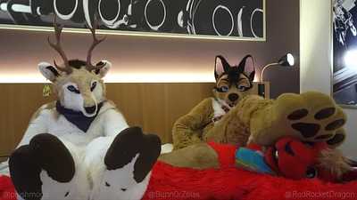 Jerked off underneath paws and hooves