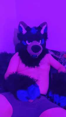 skyway plays with his bone UwU