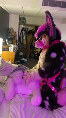 Kamira x Dog Plush Pt.1🐶🧸