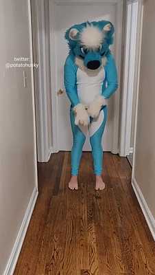 Fursuit Desperation_and_pissing_on_floor