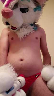 Skye Husky Plays With A Wand~