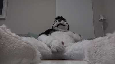 Pistol in post con pre-wash