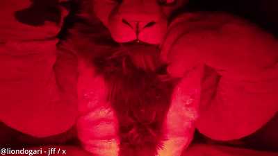 Mr. A in the bitch box