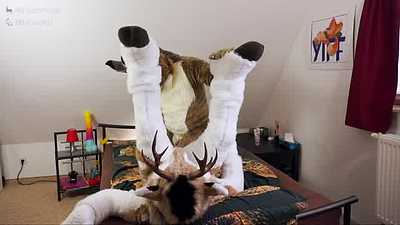 Where deer and bunny say goodnight