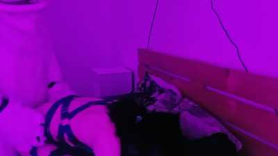 Despo fuck reekey. TEIL 1/3