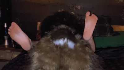 Monty humps his owner