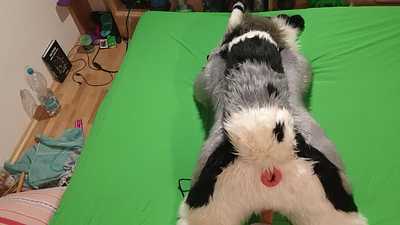 Fuck Maschine fucks Wolf 